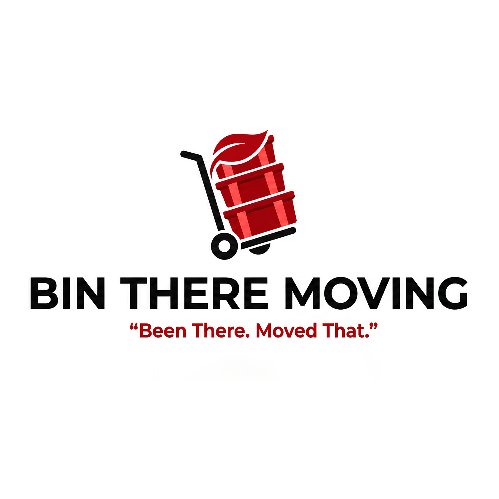 Bin There Moving